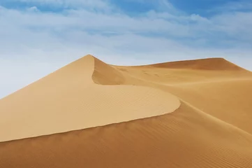 Photo sur Plexiglas Sécheresse desert