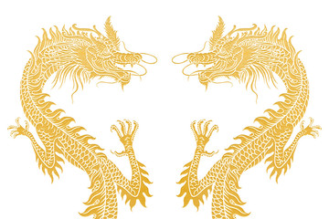 Dragons isolated on white.