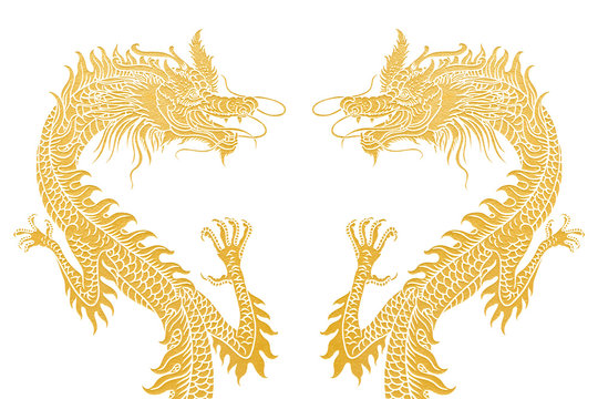Dragons isolated on white.