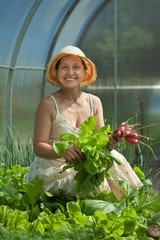  woman picking radish