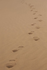 Fototapeta na wymiar sands with a trail of footprint