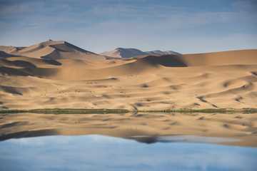 Fototapeta na wymiar Ciało Jaran pustyni Chinach