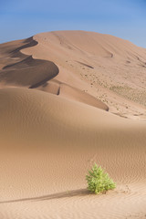 The Badan Jaran desert of China