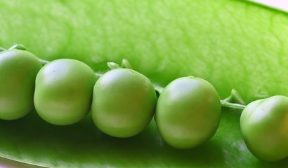 Peas in a Pod (Macro)