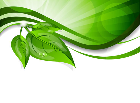 Background with green leaves