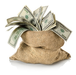 Money in the bag - 48211912