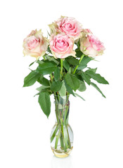 Bouquet of pink roses in a vase, isolated on white