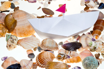 paper boat on background from sea shells