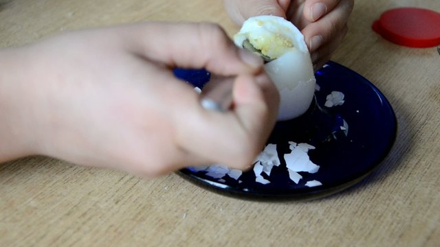 Fr&uuml;hst&uuml;cksei