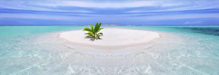 Crédence de cuisine en verre imprimé Île Île tropicale avec palmier