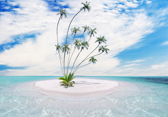 Tropical island with palm