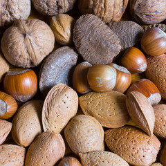 Mixed nuts in the shell