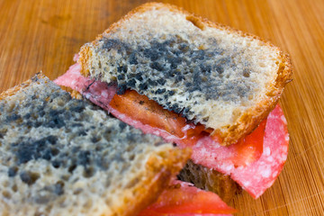 moldy sandwich with salami, tomatoes on a chopping board
