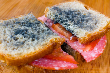 moldy sandwich with salami, tomatoes on a chopping board