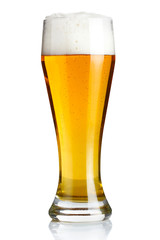Glass of beer isolated on a white background