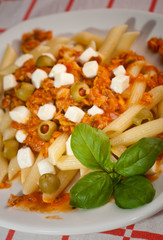 penne pasta with tomato sauce, tuna, olives and mozzarella chees