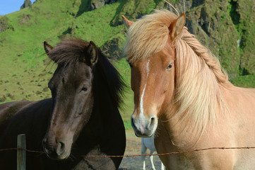 Obraz premium nero e bianco