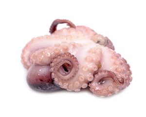 delicatessen octopus meat isolated on the white