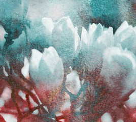 Fototapety  magnolia tekstura retro