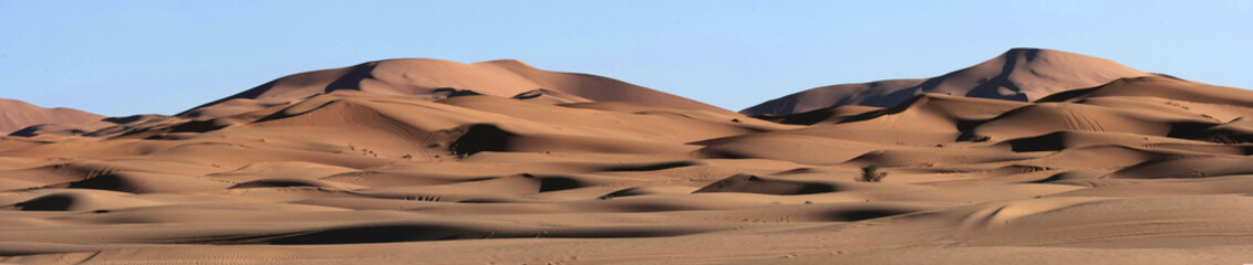 Sand Dunes Panorma in the Sahara Desert - obrazy, fototapety, plakaty