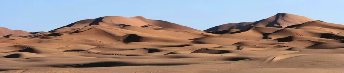 Rolgordijnen Zandduinen Panorama in de Sahara-woestijn © Zapatisthack