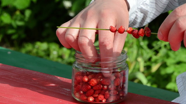 speed up man hands shirt bead red wild forest strawberry bent