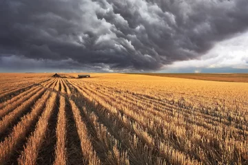 Acrylic prints Storm The  storm cloud