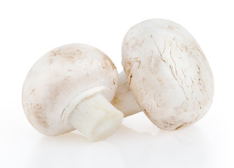 Mushrooms isolated on white background with clipping path