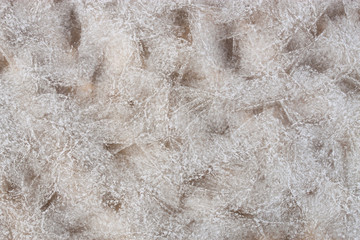 The pattern on the ice.