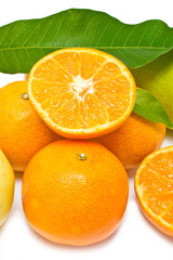 Fototapeta premium Oranges collection isolated on white background.
