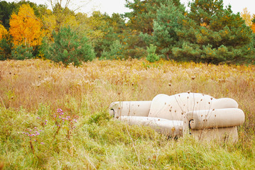 Lonely Sofa in the field