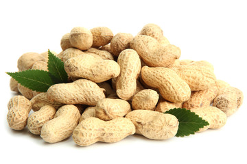tasty peanuts with leaves, isolated on white