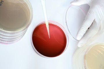 研究（微生物）イメージ
