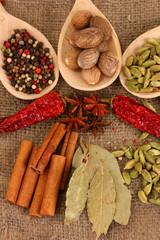 Nutmeg and other spices on sackcloth background