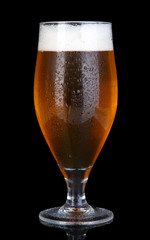 Glass of beer isolated on black