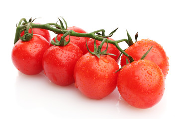 cherry tomatoes on a branch with drops isolated on white