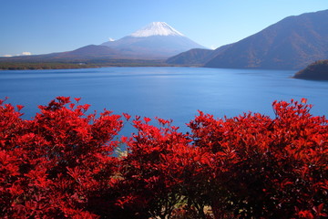 Mt. Fuji and Lake Motosu in autumn, Japan