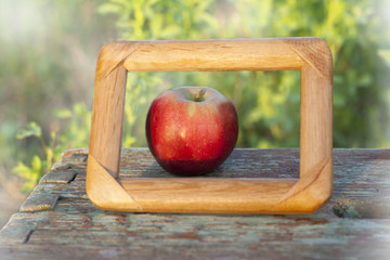 framed apple