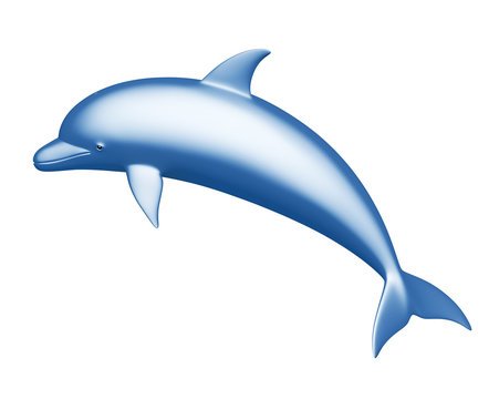 Dolphin on a white background
