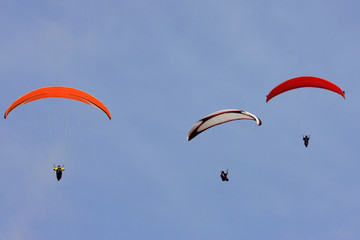 paragliders