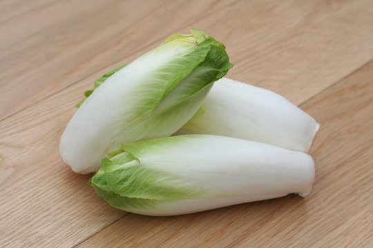 indivia belga su tavolo di legno