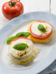 mozzarella tomatoes and porridge, vegetarian appetizer