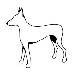 beautiful thoroughbred dog