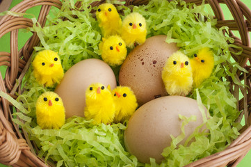 Easter basket yellow chicks speckled eggs
