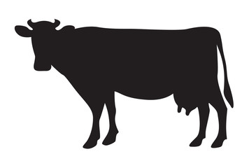 Cow silhouette isolated on white - 48243973