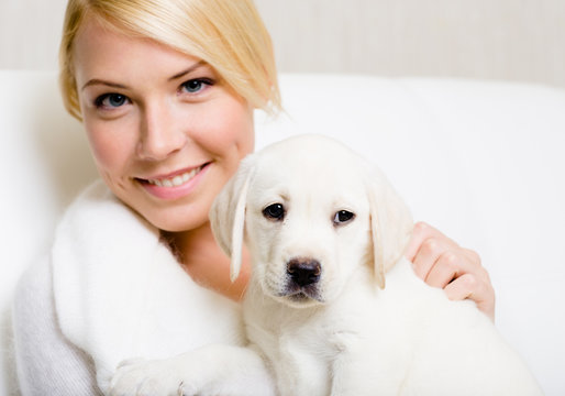 White labrador puppy sitting on the hands of woman