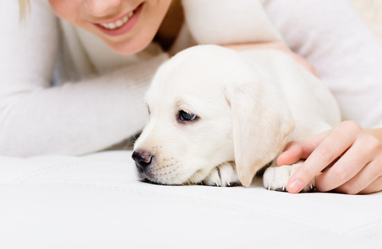 Close up of white white puppy lying on the sofa with woman