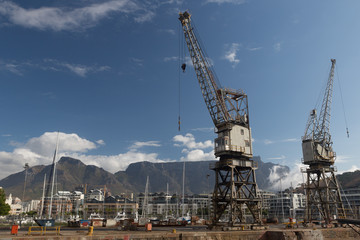 Fototapeta na wymiar Grue du port de Cape Town
