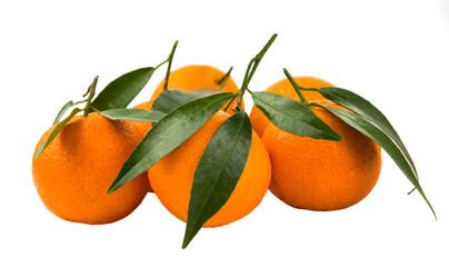 tangerines isolated