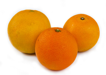 orange fruit.